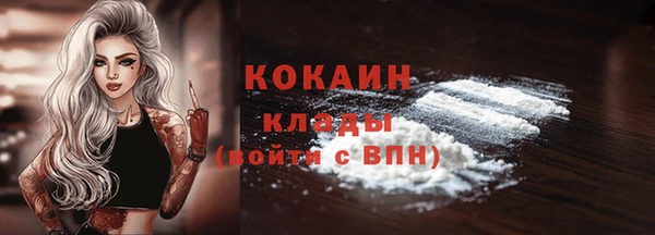 крисы Белоозёрский