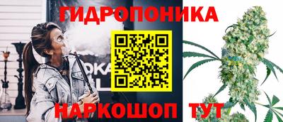 твердый Бийск