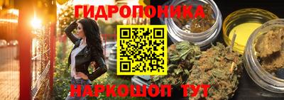 твердый Бийск