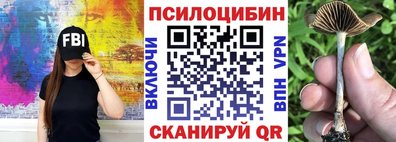 купить  сайты  Городец  Галлюциногенные грибы Magic Shrooms 
