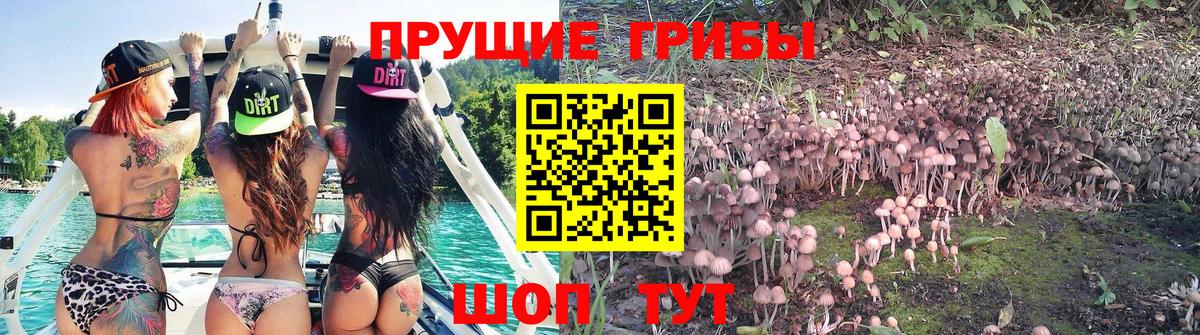 Галлюциногенные грибы GOLDEN TEACHER Городец