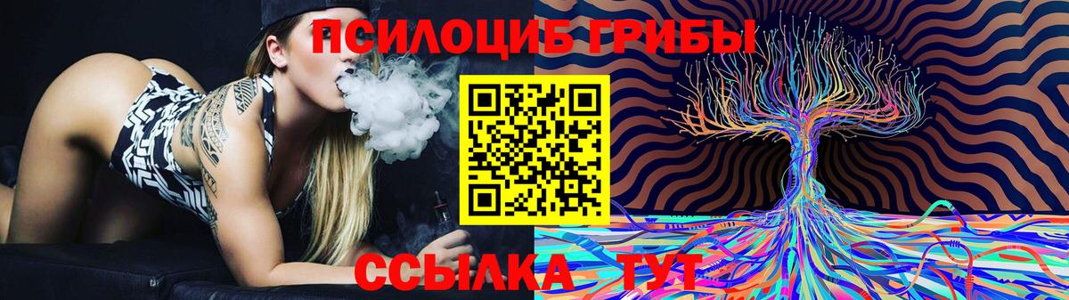 Городец  Псилоцибиновые грибы Magic Shrooms  Галлюциногенные грибы Magic Shrooms  Вход с VPN 